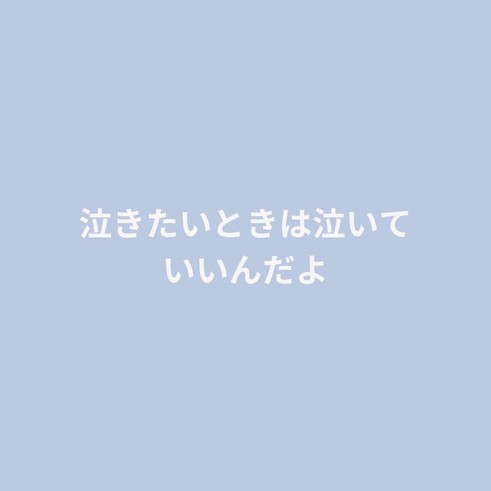 画像234