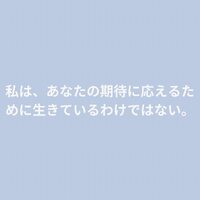 画像242