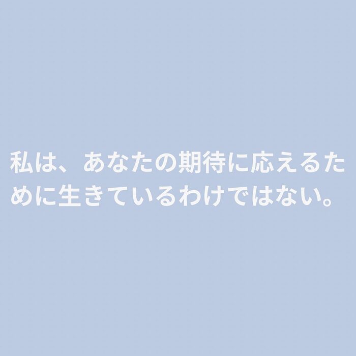 画像242