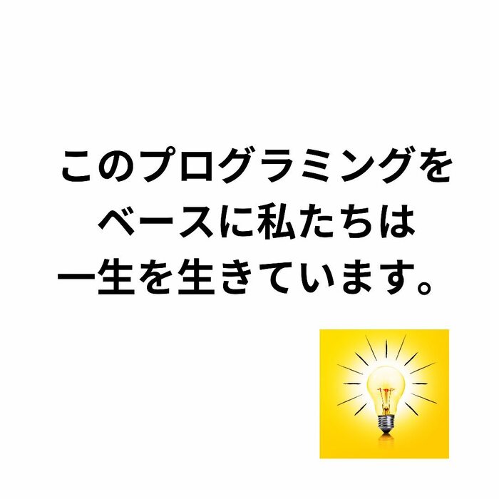 画像259