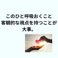 画像274