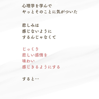 画像415